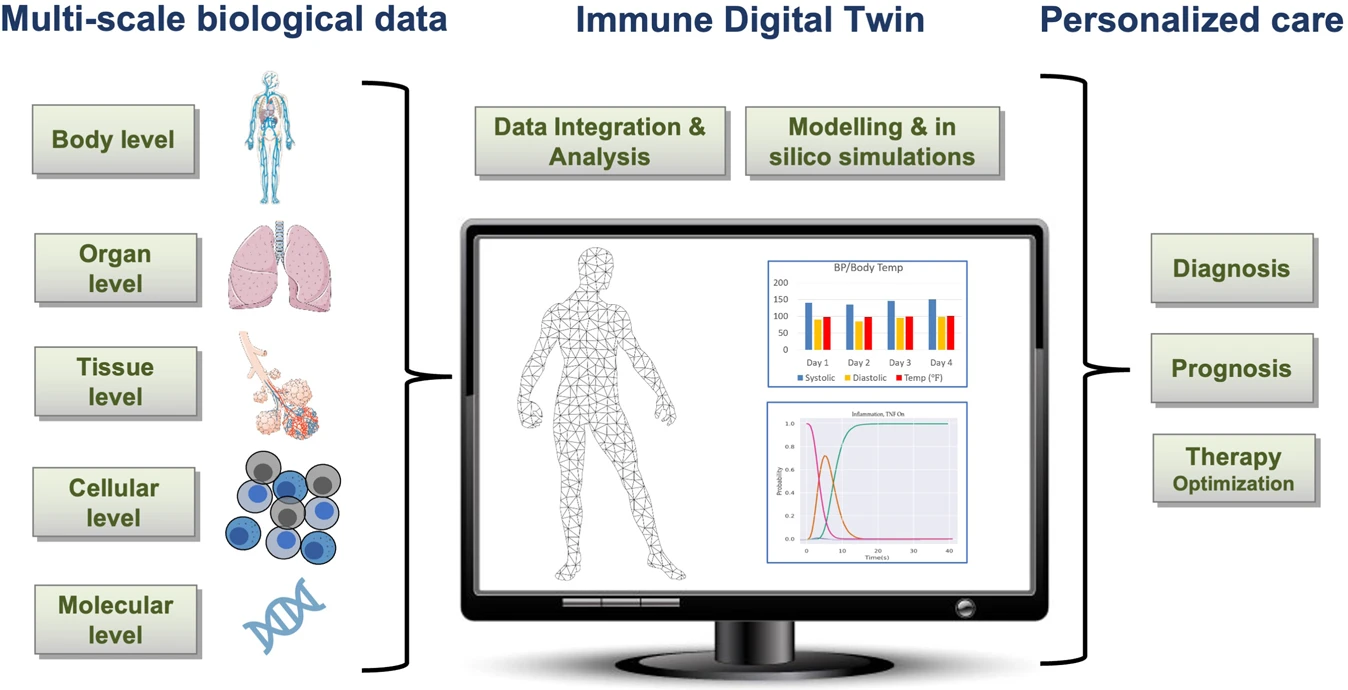 Immune Digital Twin Concept Diagram